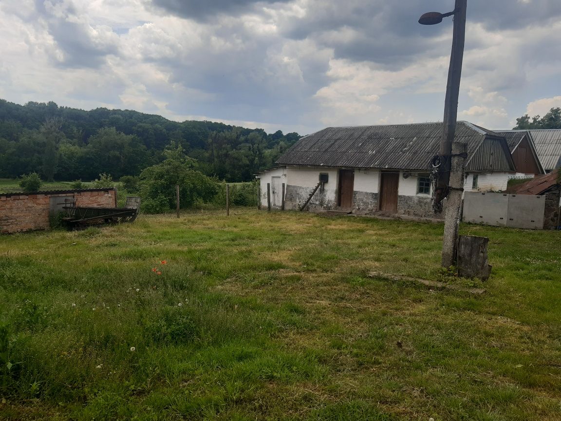 Продається будинок в селі Білилівка (Ружинський р-н, Житомирська обл)