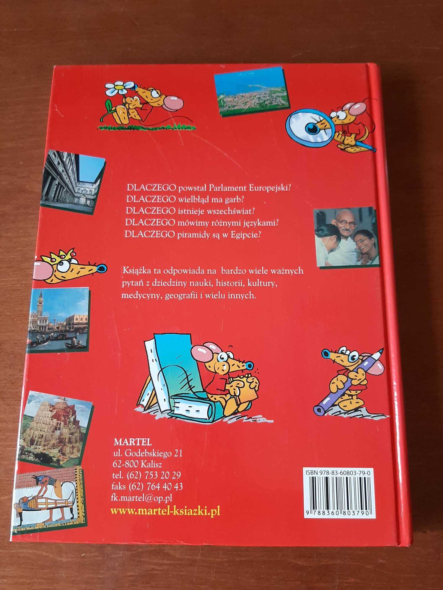 Czy wiesz dlaczego? Ważne pytania i odpowiedzi książka dla dzieci