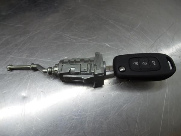 Canhão de porta RENAULT Captur II