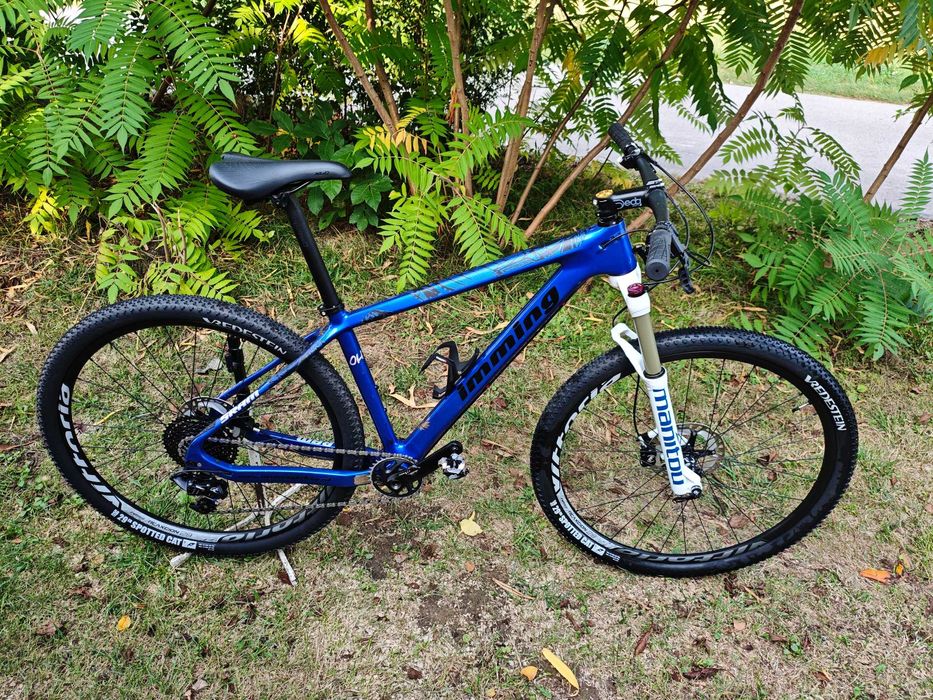 Rower górski mtb 29 Carbon