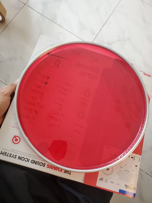 pele evans hydraulic red 14"