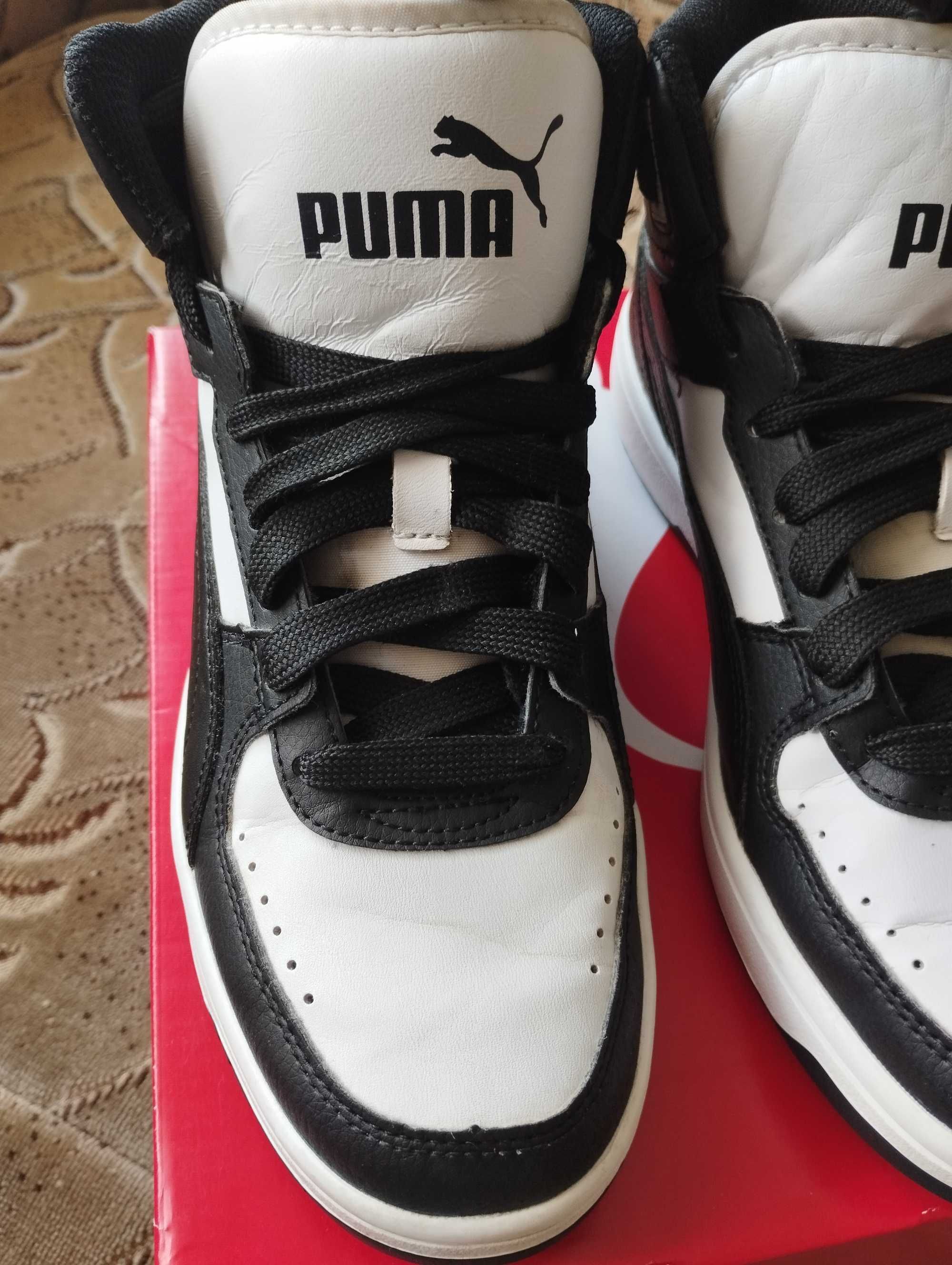 Buty Puma Rebound Hit Jr 38