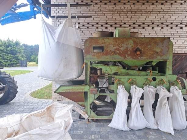 Czyszczenie ziarna łubin groch owies jeczmień facelia gryka żyto pszen