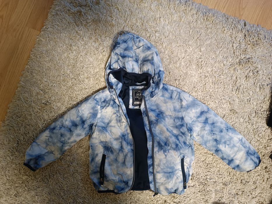 Вітровка хлопчача