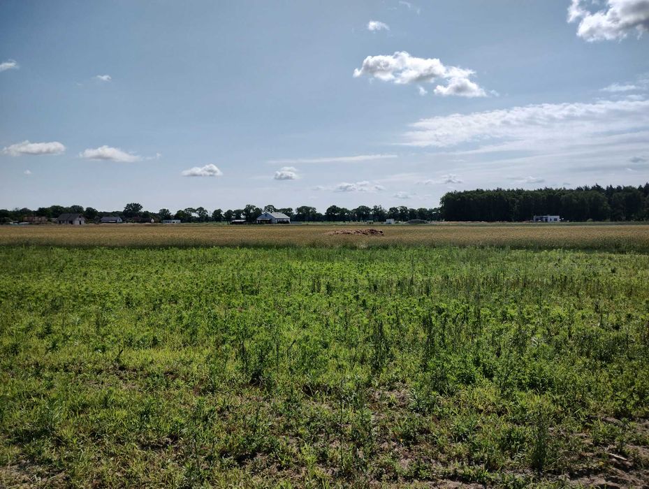 sprzedam działkę budowlaną