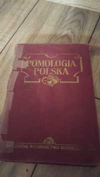 Książka Pomologia Polska pod redakcja.St. Bębenek.