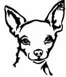 CHIHUAHUA - 17cm x 13cm - naklejka na ścianę auto laptop motor quad