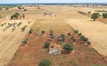 Quinta 12500m2 Alvalade