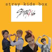 stray kids box