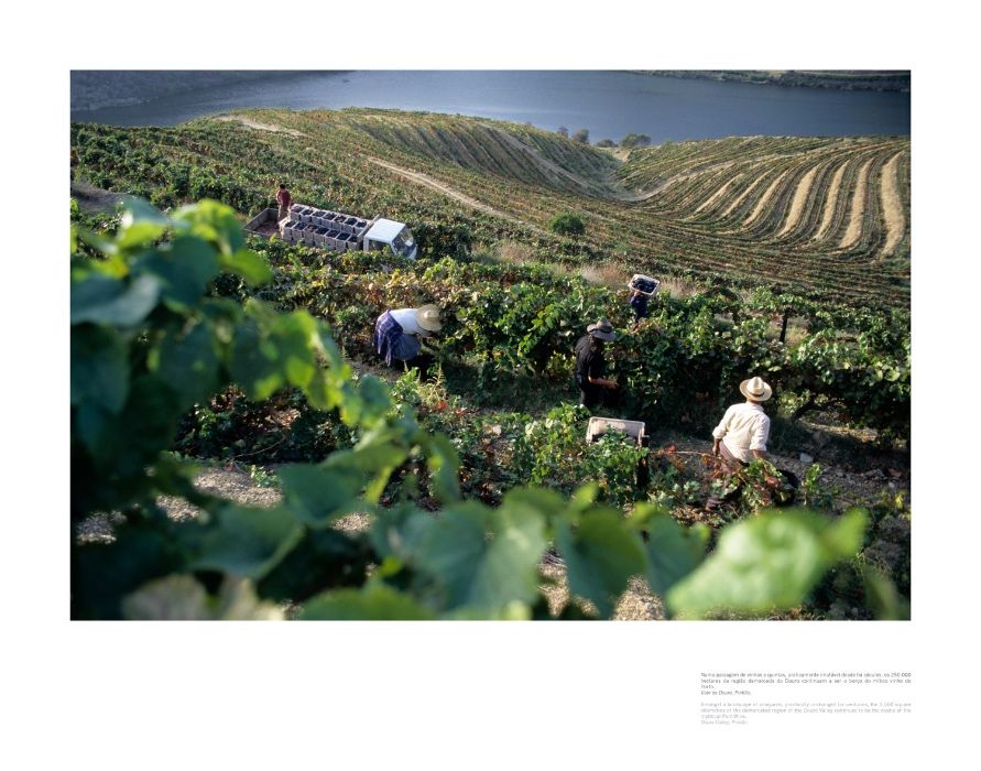 Fotografias decorativas - Portugal