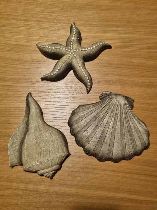 Conchas para Decoração
