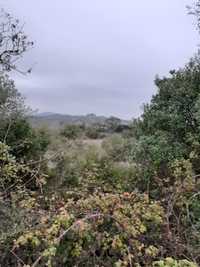 Terreno Sobral de Monte Agraço.