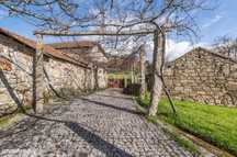 Quinta com 74.400 m2 em Penalonga, Ribeira de Pena - Vila Real