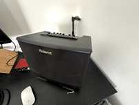 Amplificador Roland AC40