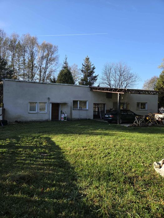 Do wynajęcia: dom na działce ze stawem