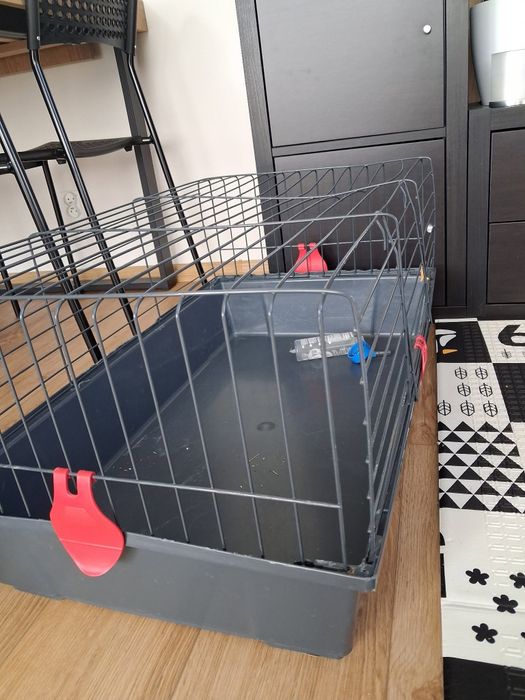 Klatka 74 cm dla świnki morskiej królika miniaturowego, czysta, z poid