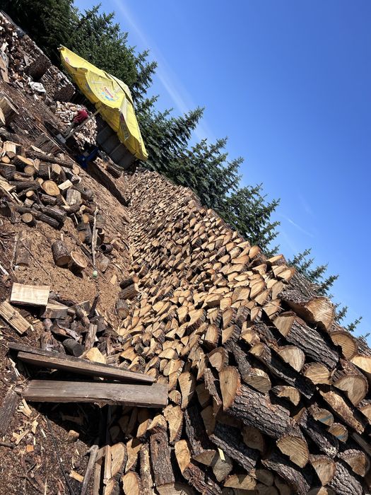 Drewno opalowe komikowe