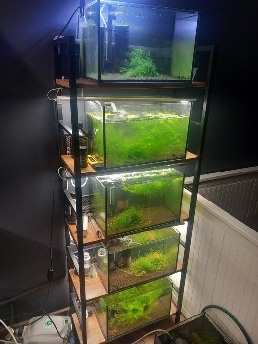 Regal akwariowy, akwarium