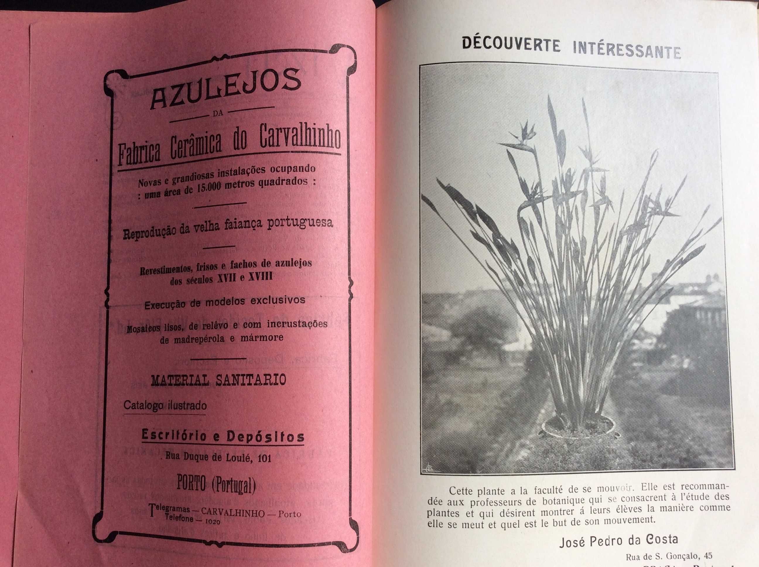 Brotéria. Fé - sciencias - letras Vol. I, Fasc. VI . Junho de 1925