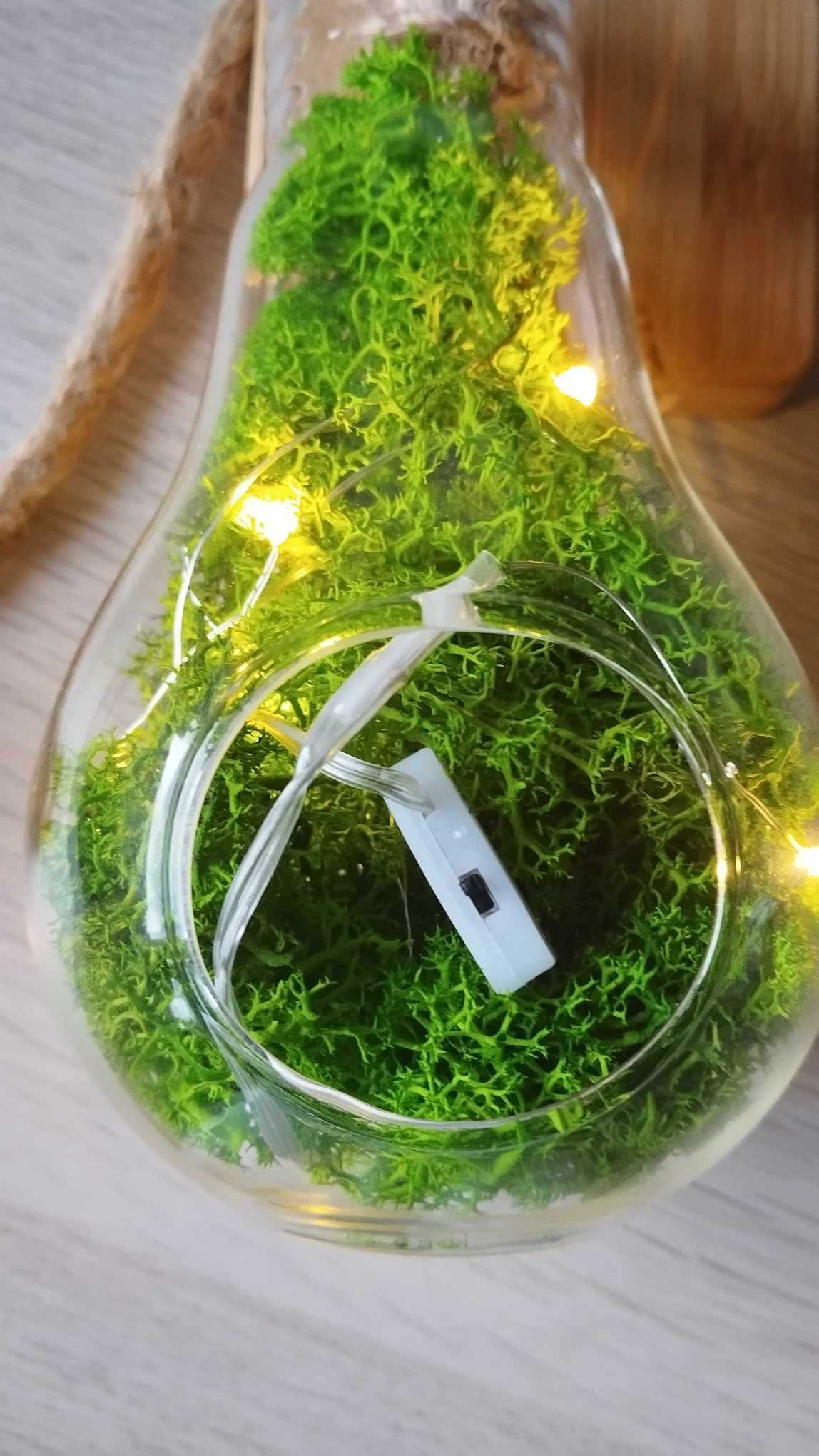 Ozdoba wisząca żarówka mech chrobotek LED