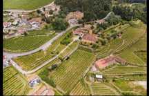 Quinta senhorial