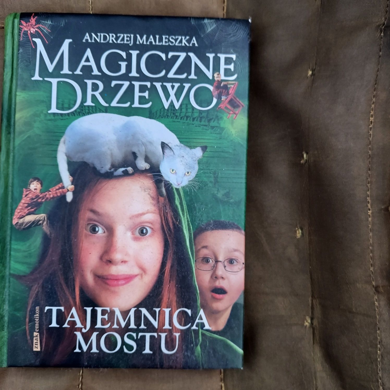 Magiczne drzewo Tajemnica mostu Książka idealna na prezent