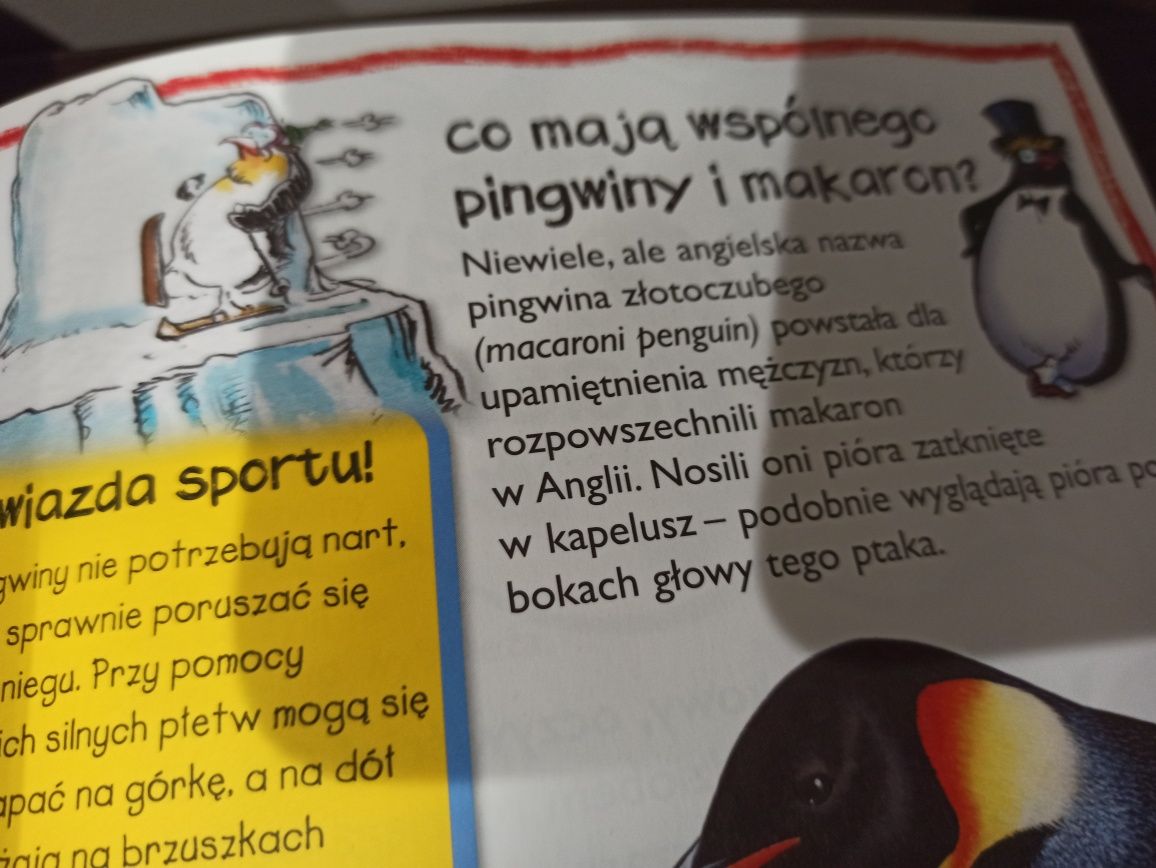 Książka Zwierzęta. Pytania i odpowiedzi z serii Dowiedz się sam