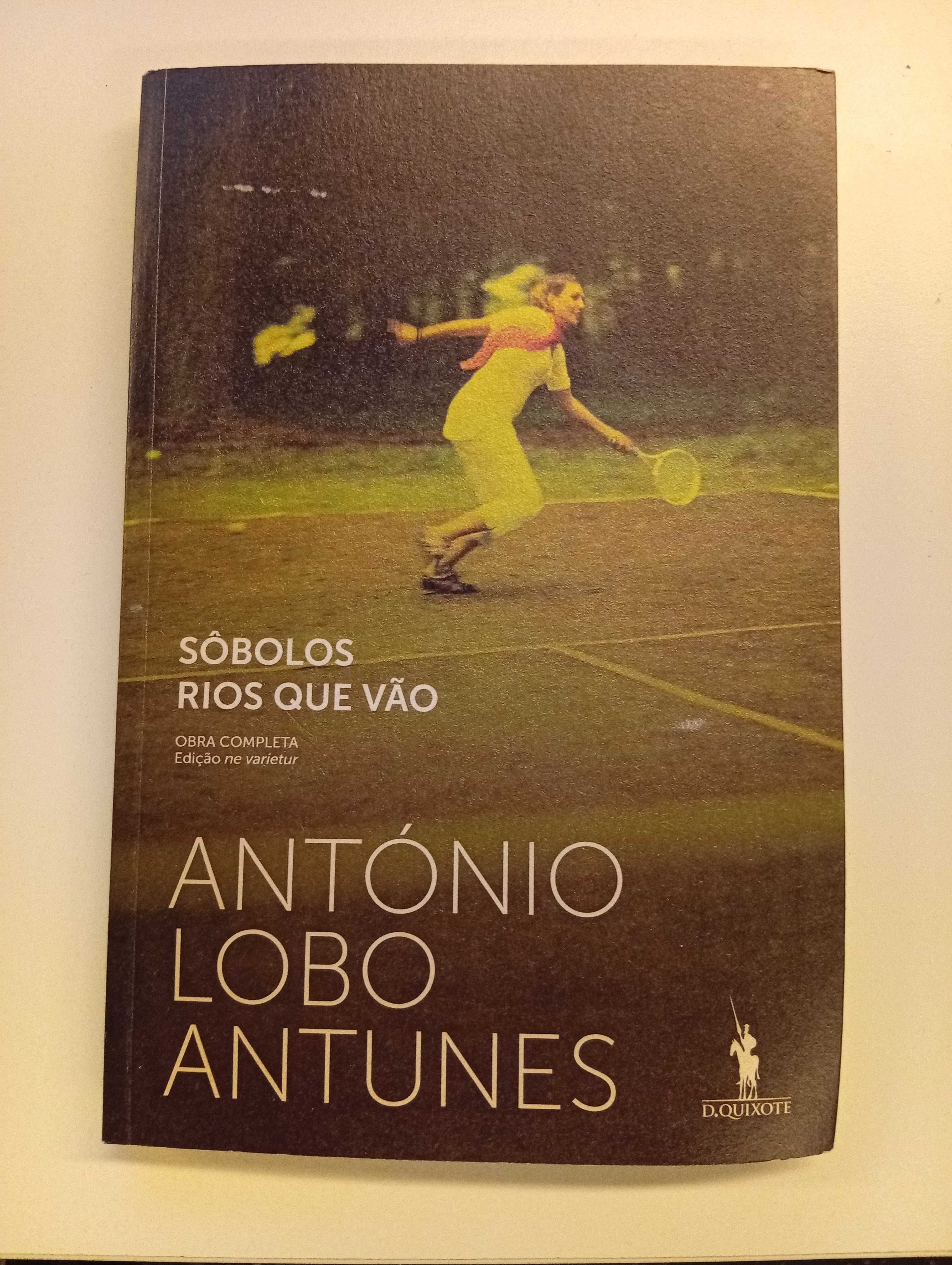 Livro - Sôbolos Rios Que Vão