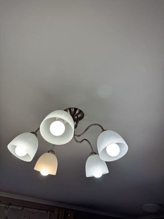 Lamoa sufitowa Zlota