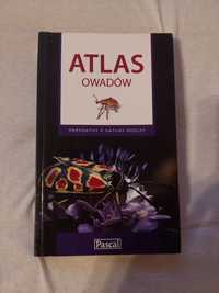 atlas owadów książka