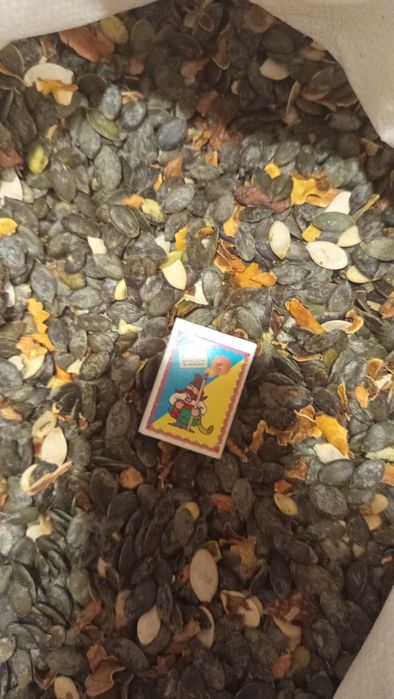 Гарбузове насіння