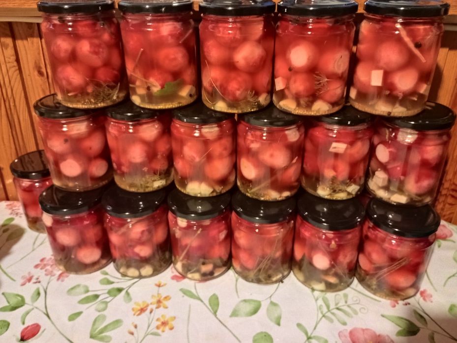 Eko Naturalny Domowy Sok z Aronii 500 ml I Czarnego Bzu 300 ml