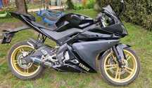 Yamaha 2010 Yamaha