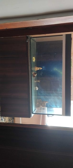 Акваріум б/у на 500 літрів