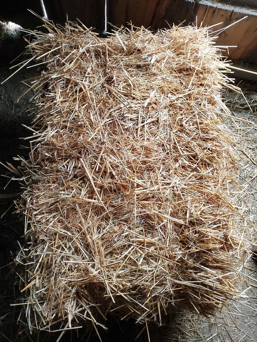 Sprzedam słomę w kostkach