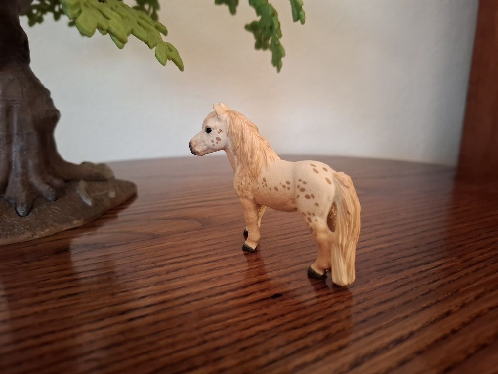 Wałach kuca falabella schleich