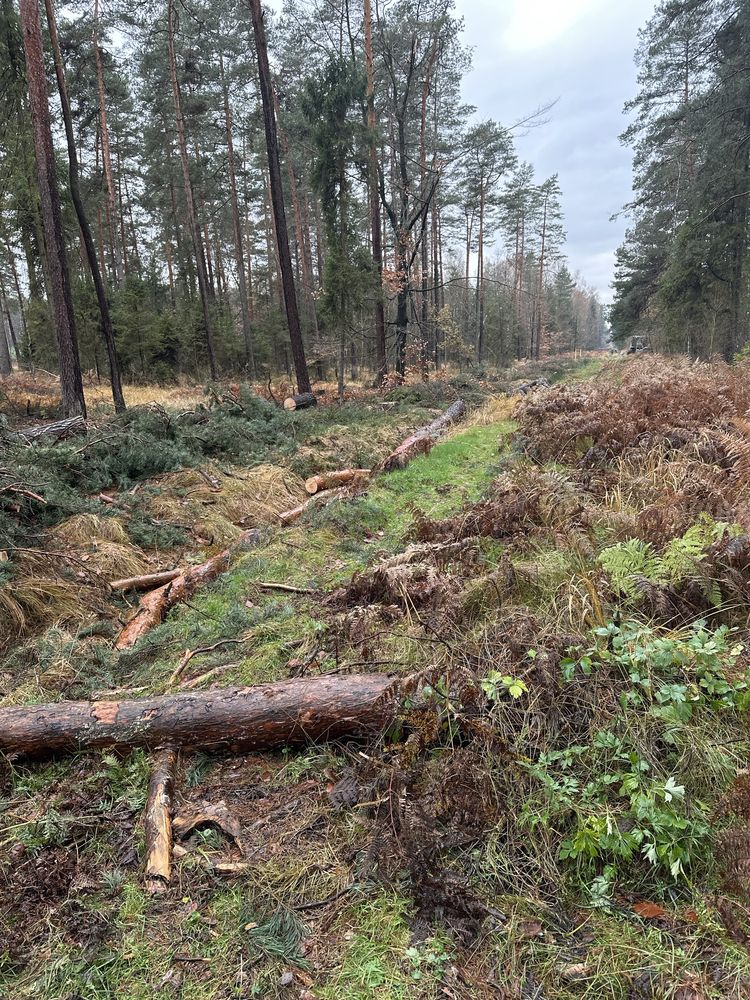 Mulczer leśny wgłębny powierzchniowy mulczowanie wycinka drzew działek