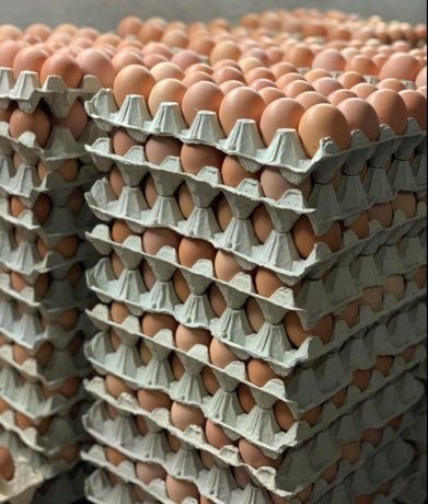 Опт инкубационные яйца бройлера