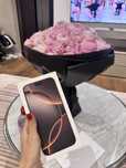 iPhone 16 Pro Max 256 gb