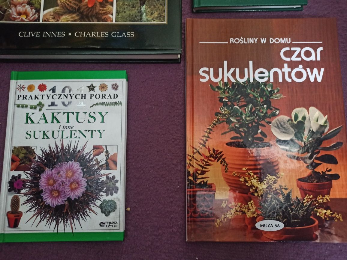 Kaktusy i sukulenty 101 porad encyklopedia poradnik