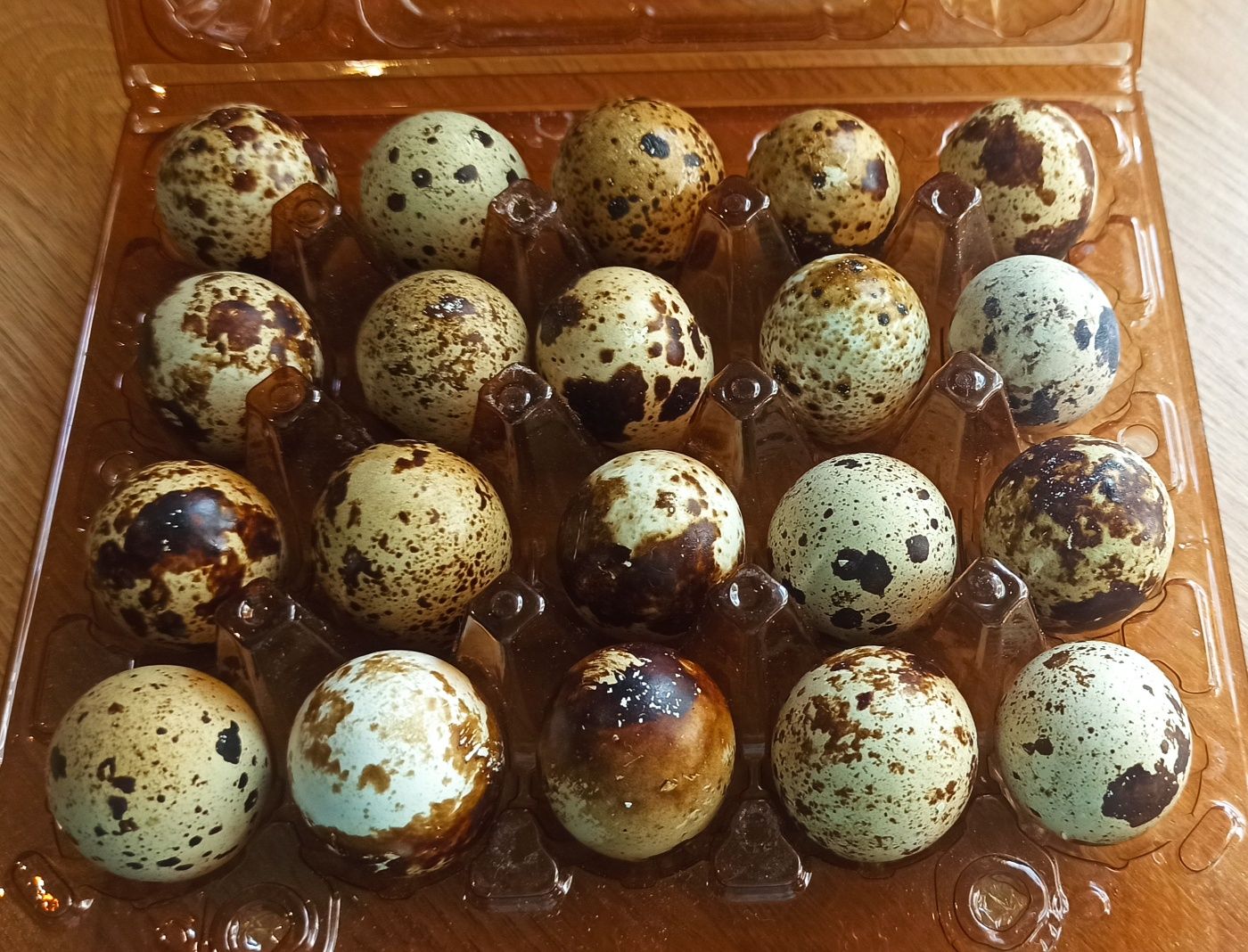 Перепілка, яйця, інкубаційне яйце, м'ясо перепілки