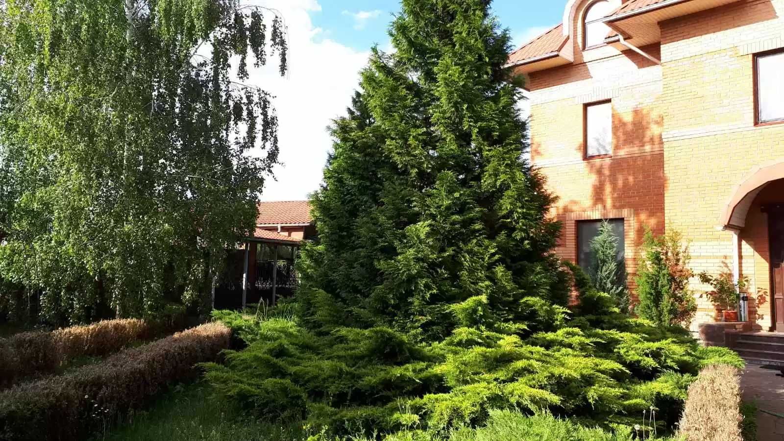 84 Оренда будинку альтанка басейн більярд барбекю, свята до 10 людей