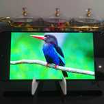 Xiaomi Redmi Note 11 Pro 5G