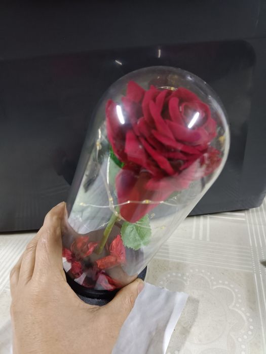 A bela e o monstro Rosa vermelha dia dos namorados