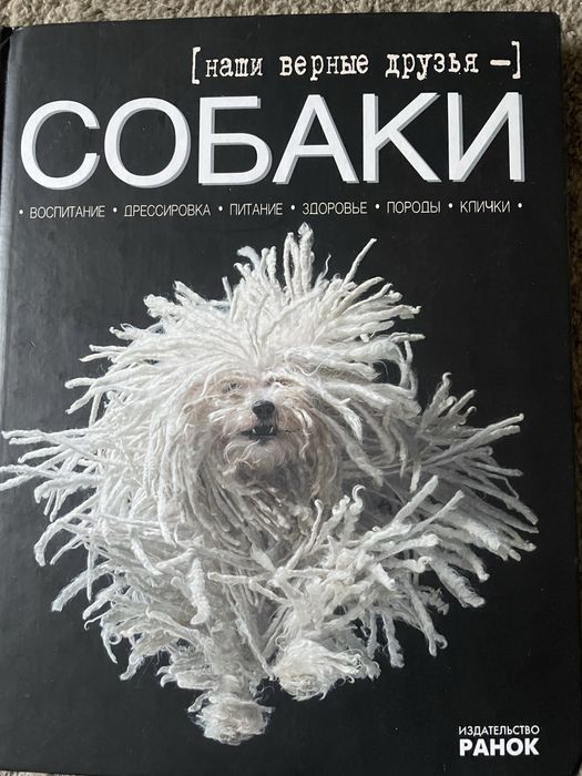 Собаки- наши верные друзья