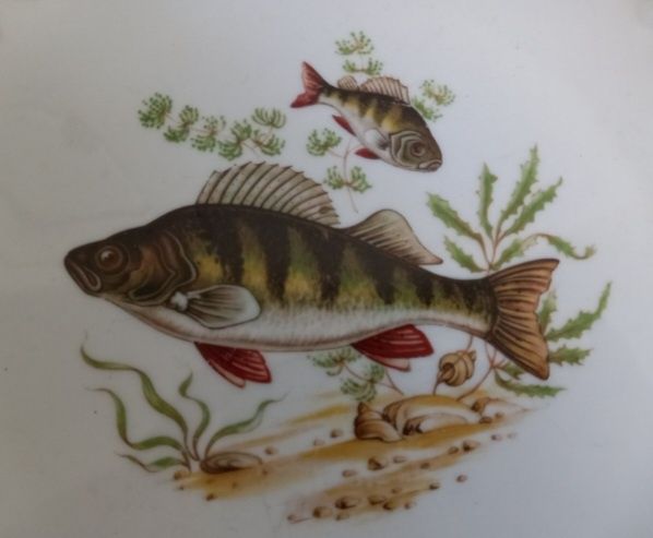 Talerz Porcelanowy Wunsiedel Bavaria Porzellan Germany