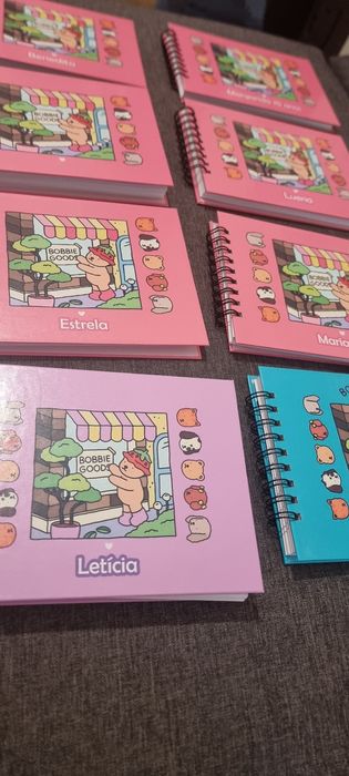 Livro boobie goods