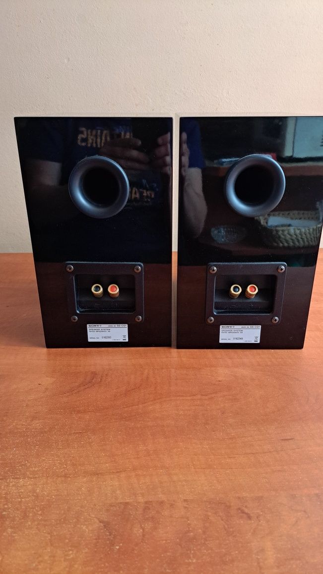 Głośniki Sony ss cg1