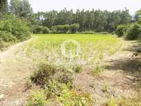 Terreno Misto c/ 92.000 m2 - Argivai