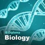 Korepetycje Biologia /Chemia IB